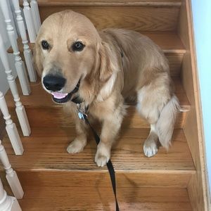 Meet your Posher, Chelsea